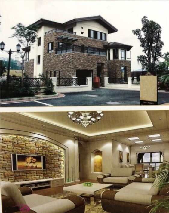 Ledge stone project (2).jpg