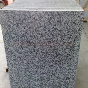 Telhas de granito branco G439